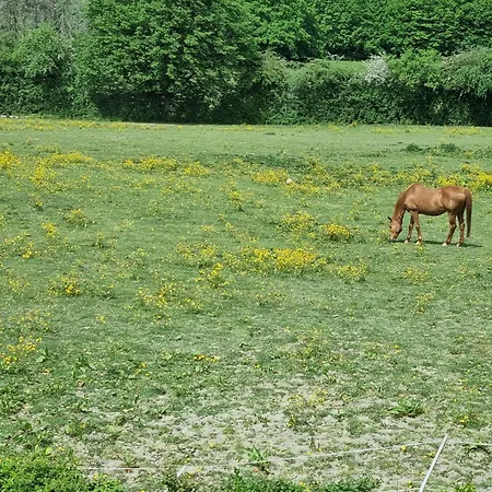 Spacieux Avec Jardin Clos Et Dortoir A - Fr-1-510-162 Vakantiehuis *