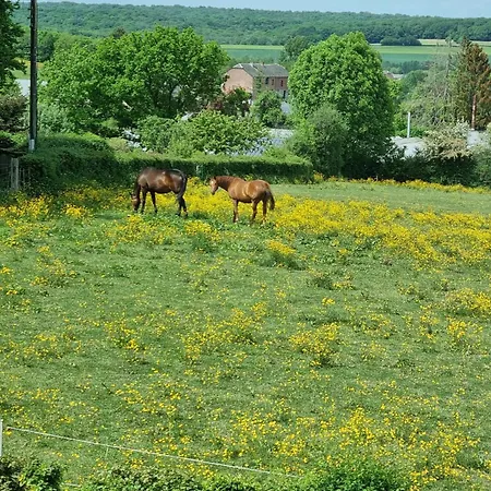 Spacieux Avec Jardin Clos Et Dortoir A - Fr-1-510-162 別荘 Liessies