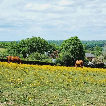 Spacieux Avec Jardin Clos Et Dortoir A - Fr-1-510-162
