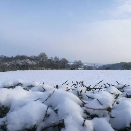 Spacieux Avec Jardin Clos Et Dortoir A - Fr-1-510-162 *